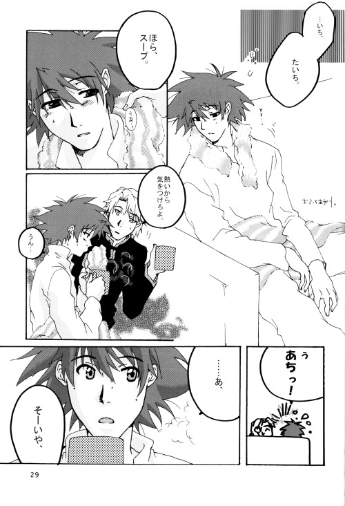 (HaruCC8) [Ishigamiya (Utsugi Iminashi)] Ereki (Digimon Adventure 02) page 30 full
