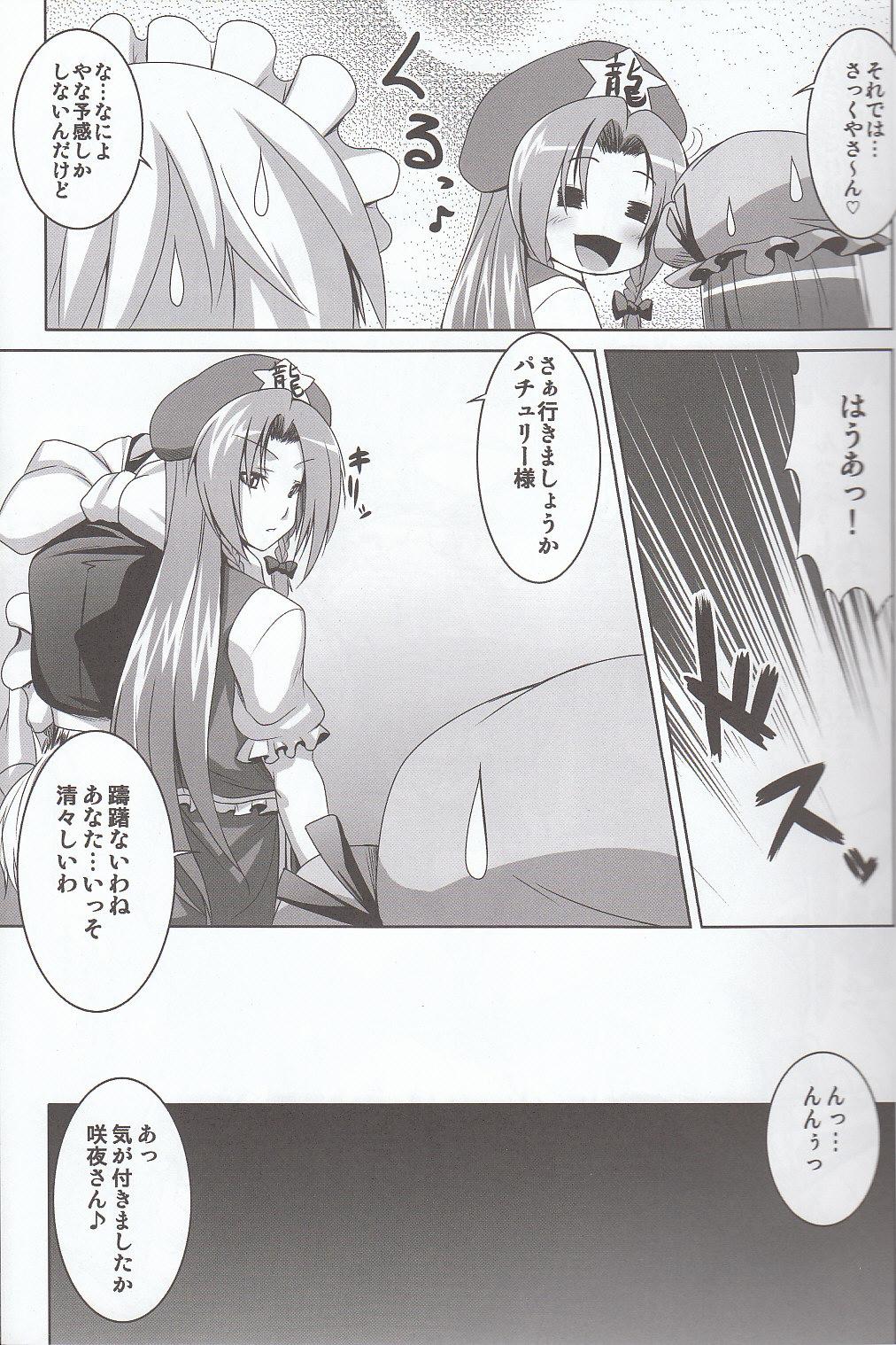 (C78) [Nounai Ekijiru (Somejima)] Maid in China Revenge! (Touhou Project) page 6 full