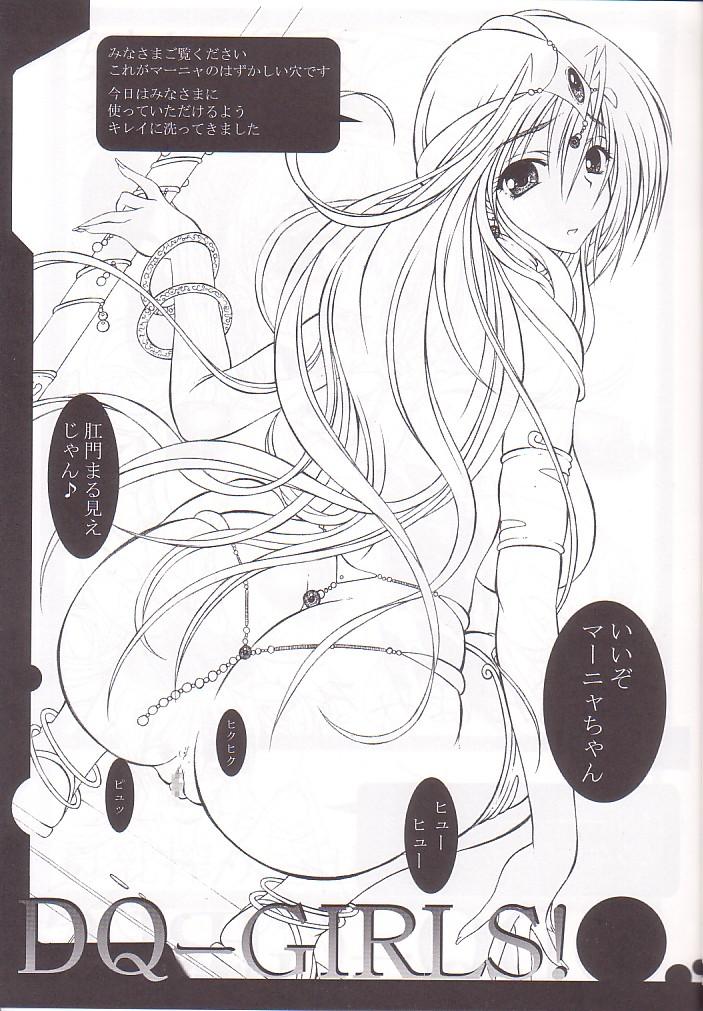 (C66) [ALICE-DO (Miyauchi Izumi)] Kanyuu (Dragon Quest III) page 13 full