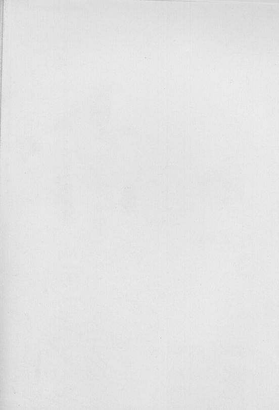 [DNKS] Seishokuya (Card Captor Sakura) page 2 full