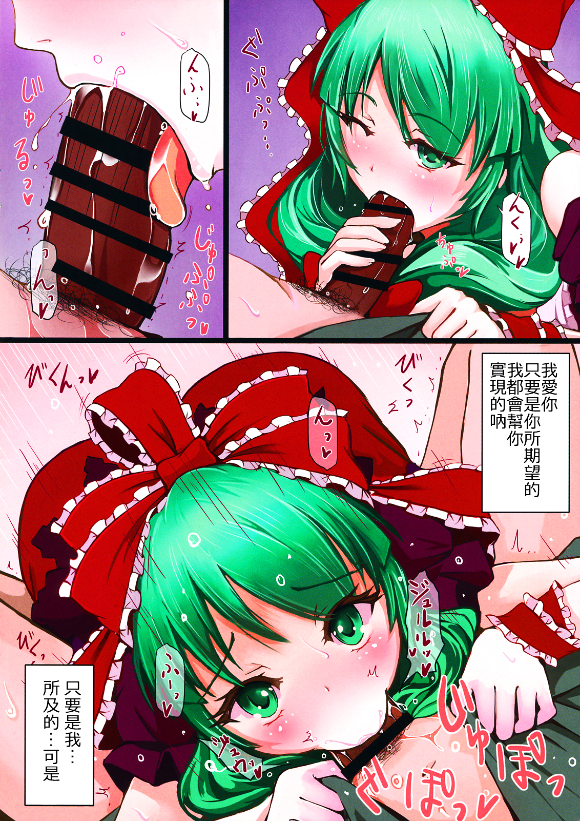 (C85) [dream-mist (sai-go)] The End of Dream (Touhou Project) [Chinese] [oo君の個人漢化] page 6 full