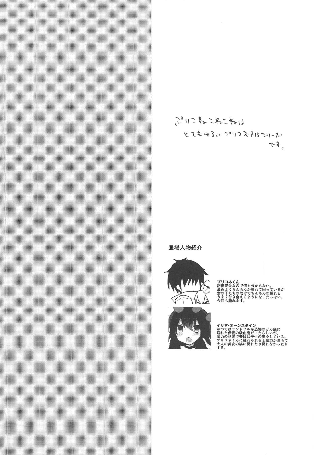 (COMIC1☆15) [Slime Kikaku (Kuriyuzu Kuryuu)] PriConne Konekone Re:Dive! 3 (Princess Connect! Re:Dive) page 3 full