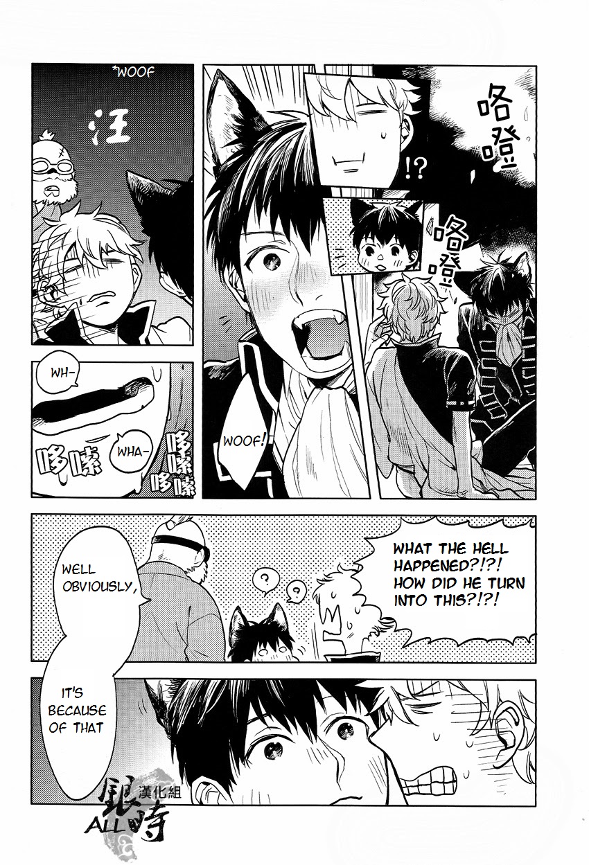 (HaruCC18) [3745HOUSE, tekkaG (MIkami Takeru, Haru)] HOW to SPOIL YOUR DOG (Gintama) [English] [valc21] page 42 full