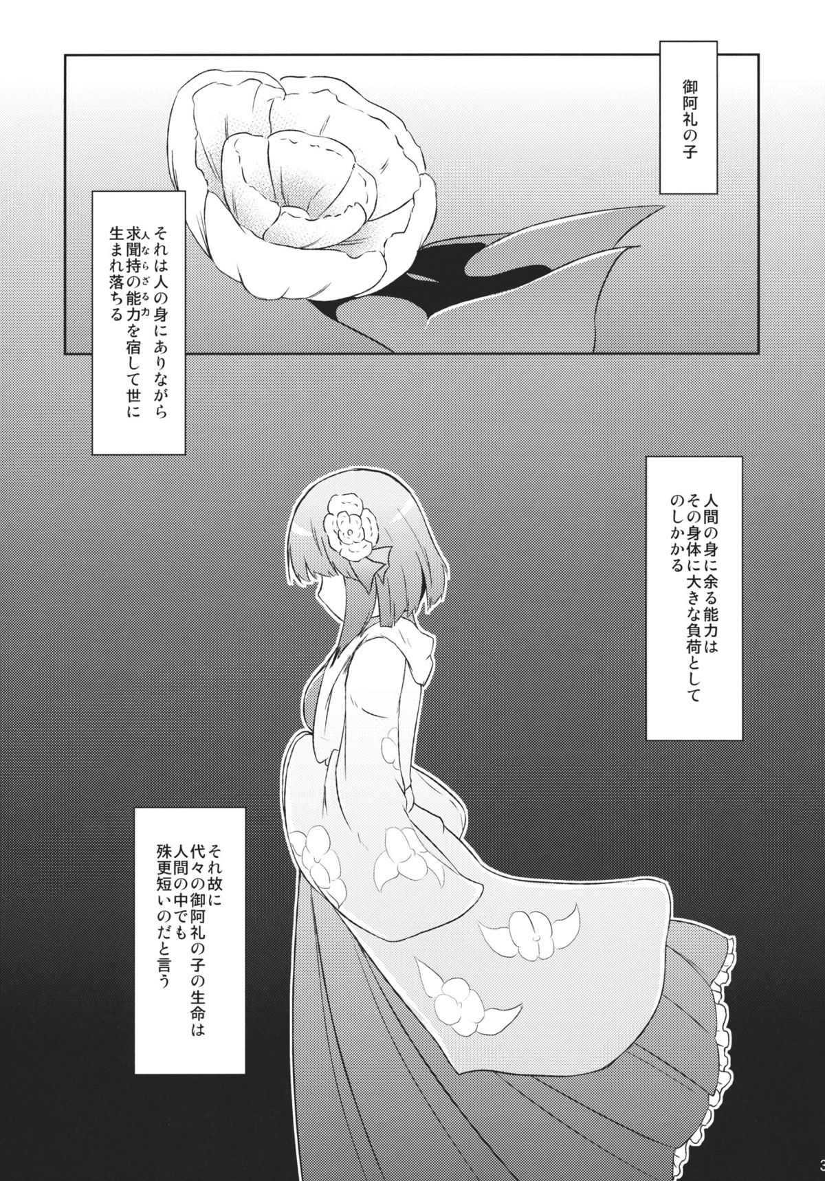 (C81) [Kikyou no Hana no Saku Tokoro (Hazuki Kyou)] Hieda no Musume, Hatsujou su. (Touhou Project) page 3 full