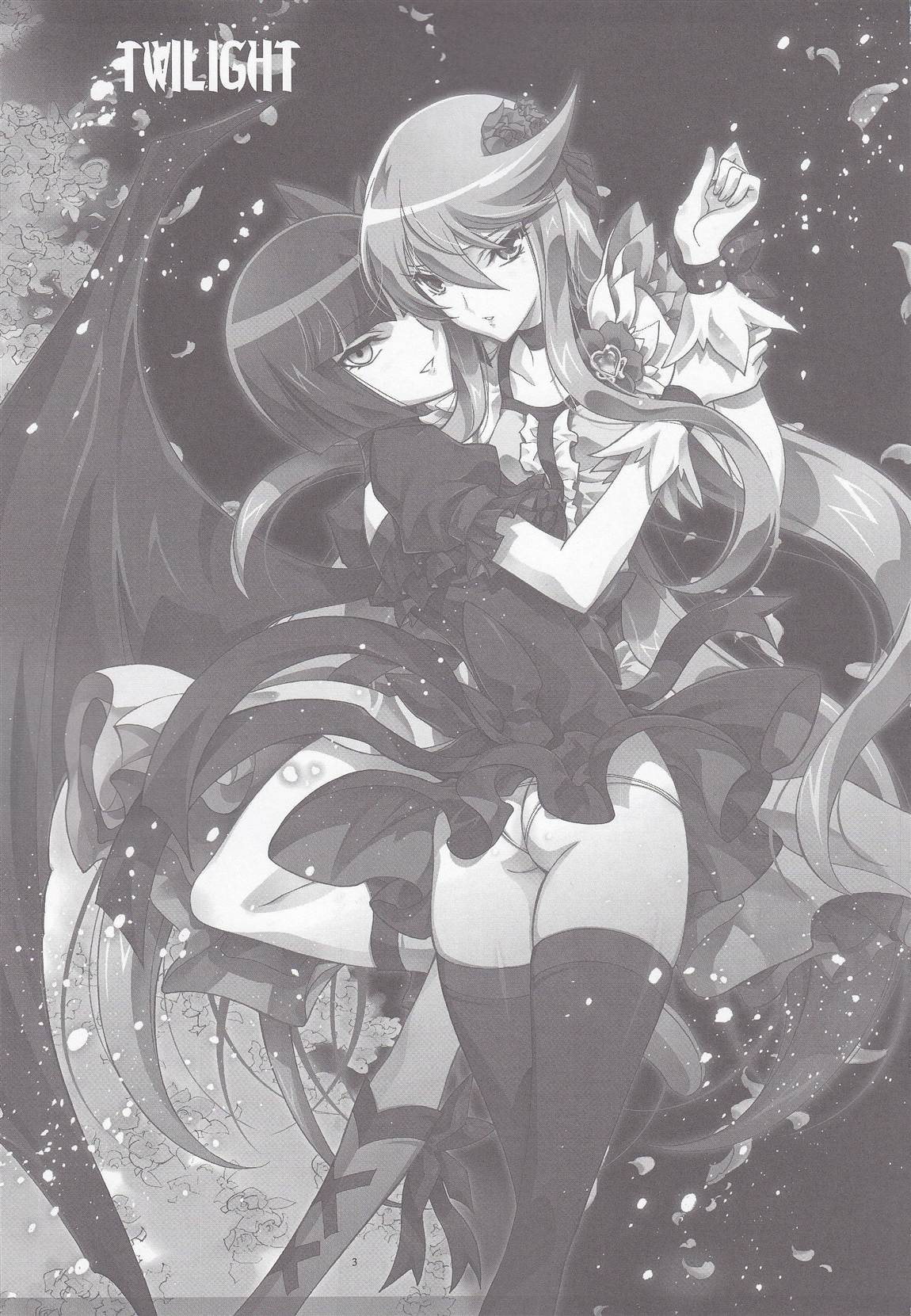 (C78) [Kaishaku ] Twilight ～Newmoon～ (Heart Catch Precure!) page 2 full
