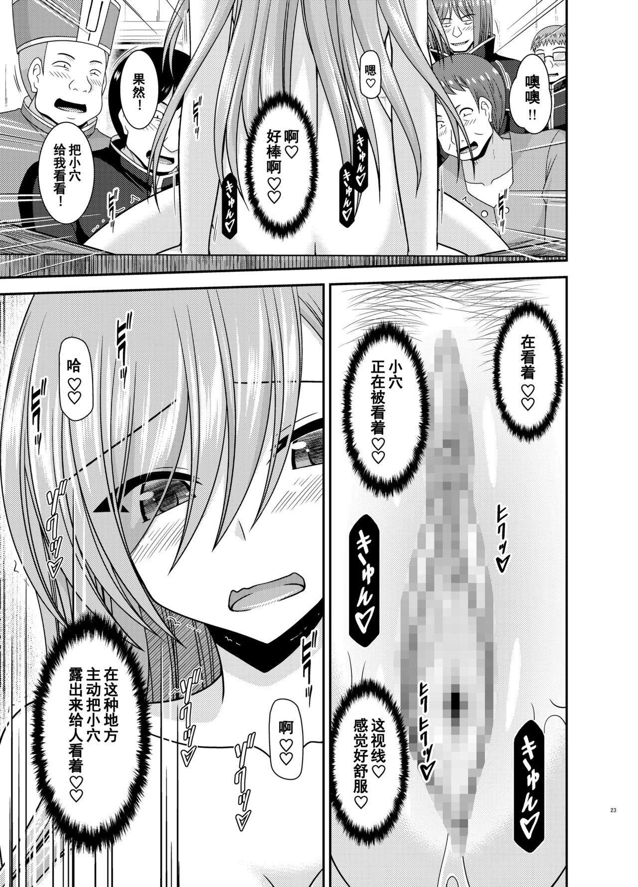 [valssu (Charu)] Melon ga Chou Shindou! R16 (Tales of the Abyss) [Chinese] [流星汉化] [Digital] page 22 full