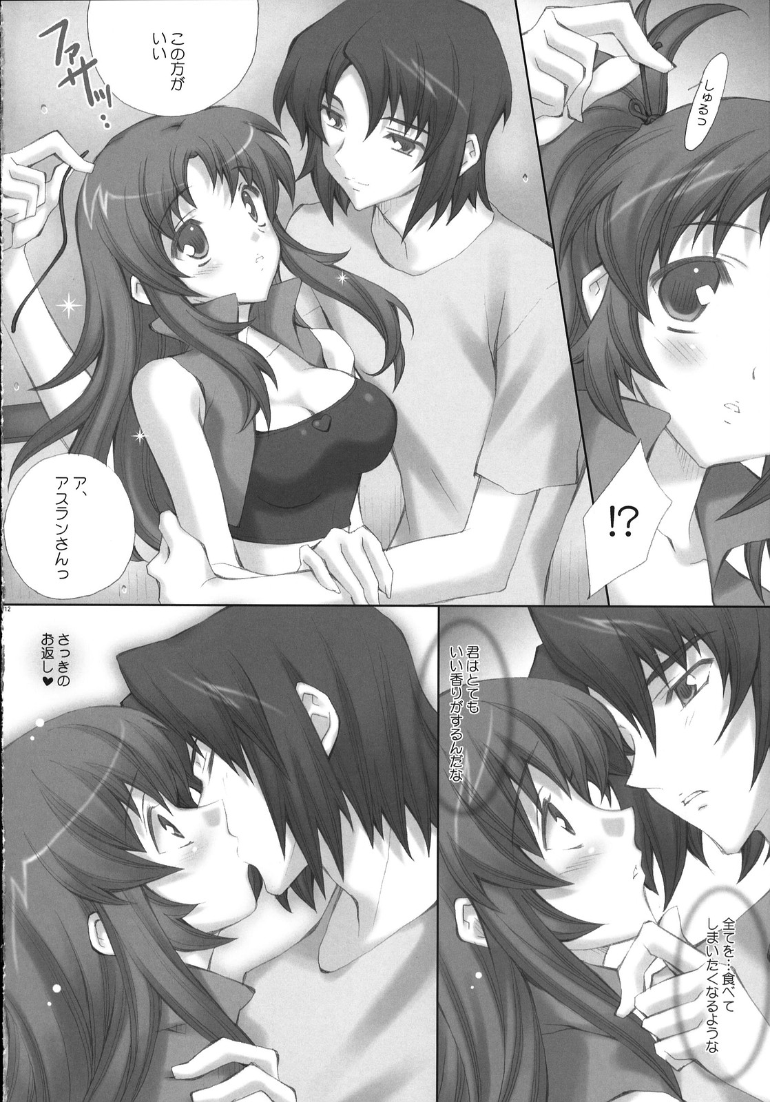 (C72) [LiZ (Satomi Hinako)] ADAM'S APPLE (Gundam SEED DESTINY) page 11 full