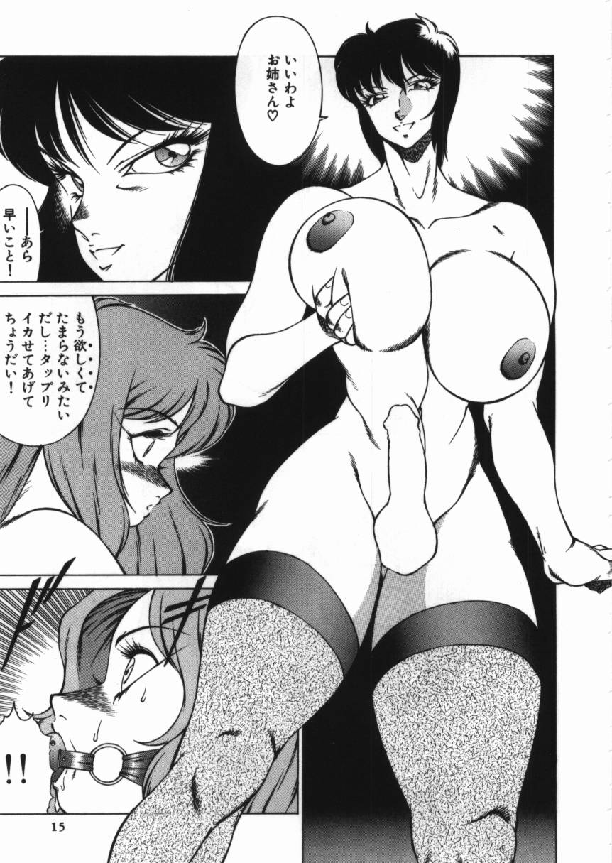 [Anthology] D-Cup Collection 4 page 14 full