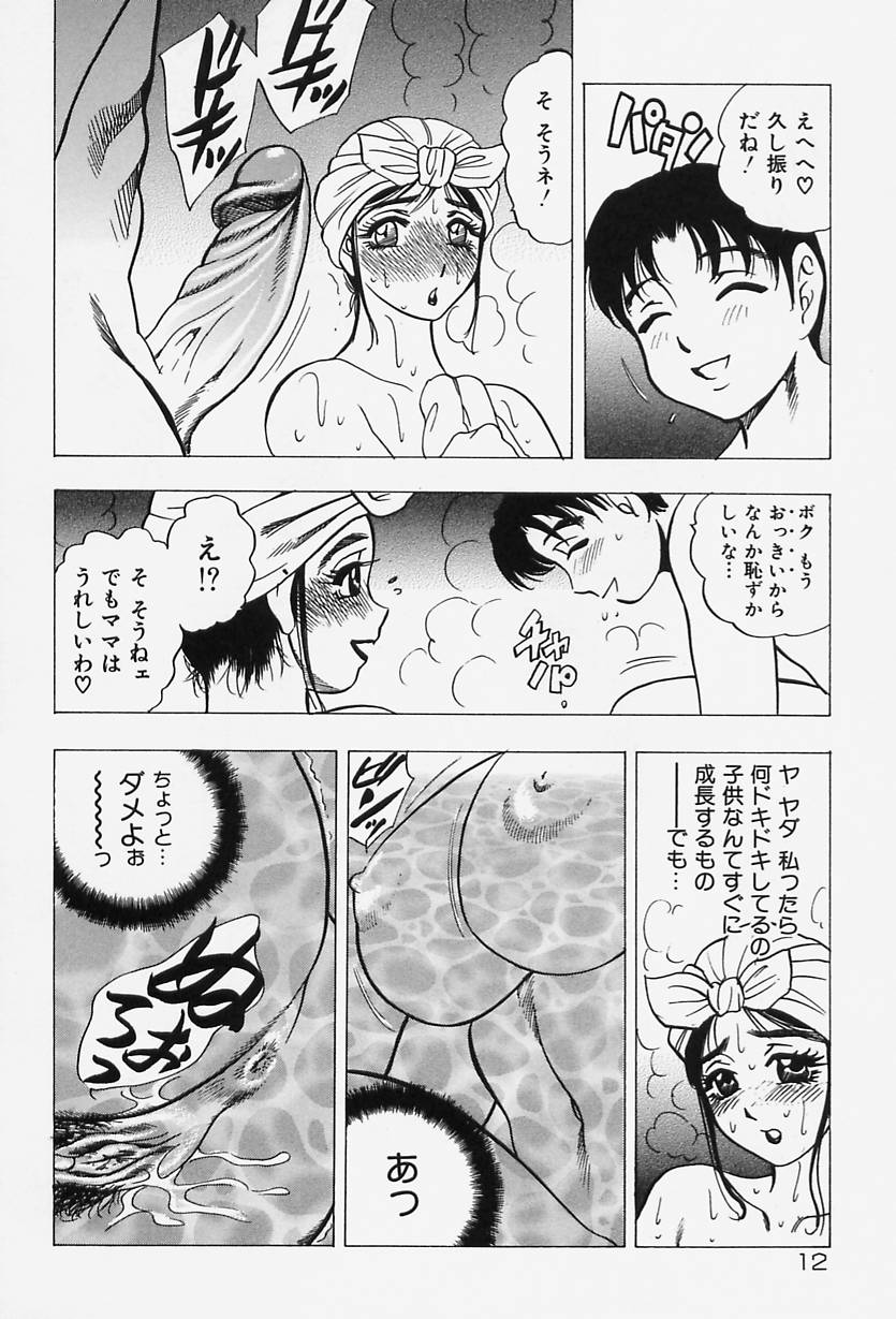 [Bijogi Junction] Shukujo No Seiheki page 14 full