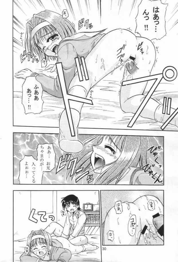 (C61) [Honyo no Uchi (Honyo)] TWINKLE TWINKLE SISTERS 3 (Sister Princess) page 29 full