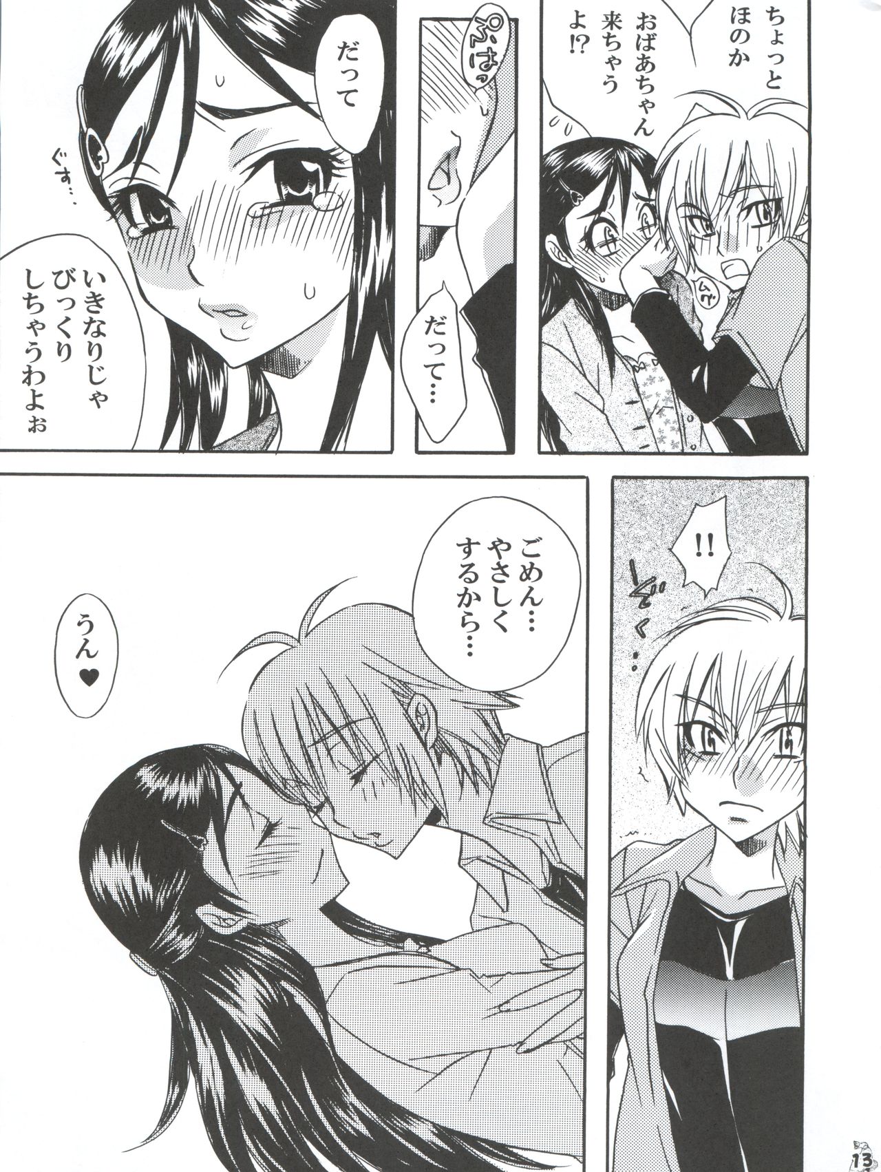 (C78) [Tsurikichi Doumei (Umedama Nabu, Kogawa Masayoshi, Uranoa)] Nogaremono Nan Demo-R (Various) page 13 full