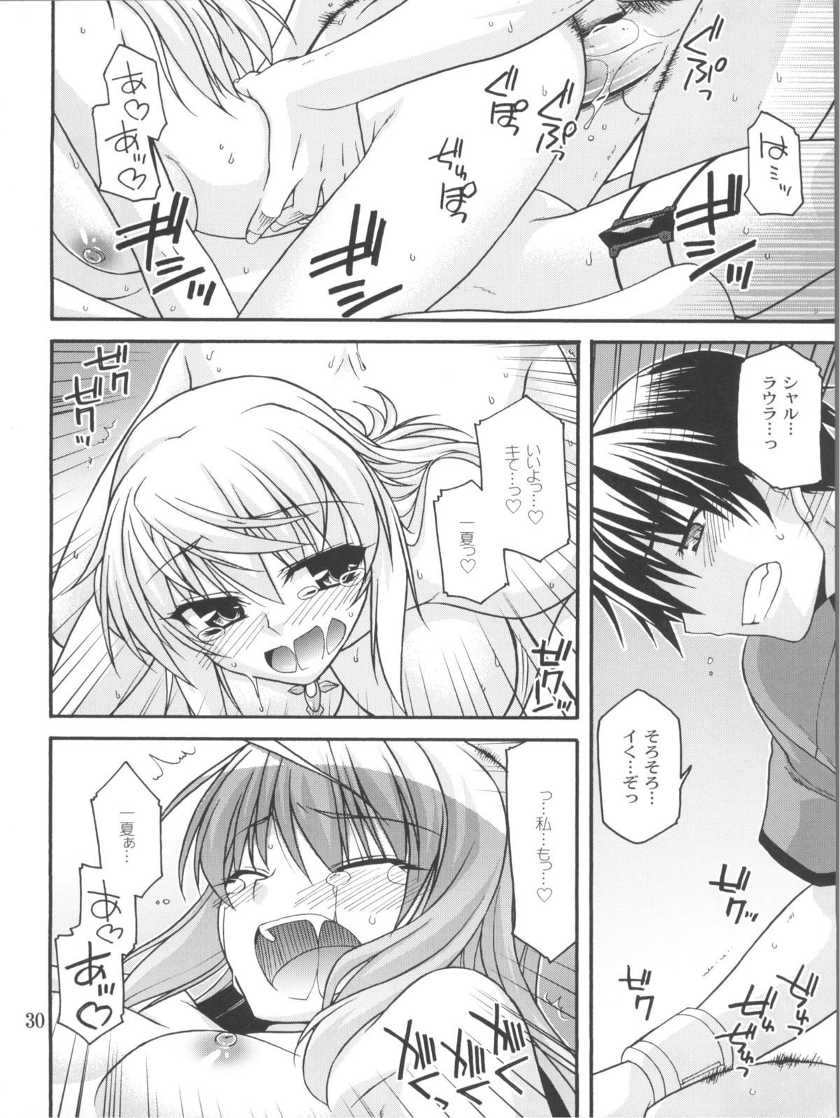 (COMIC1☆5) [CRIMSON GROUND (Miyashiro Sousuke)] Schwarzer Rafale (Infinite Stratos) page 29 full