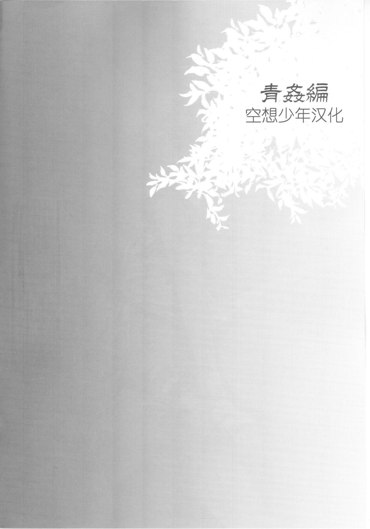 (C87) [Sakusaku Kangen Noushuku (Matashita Kintama)] Haitoku Josou Otouto no Inran Jojishi Aokan Pen [Chinese] [空想少年汉化] page 3 full
