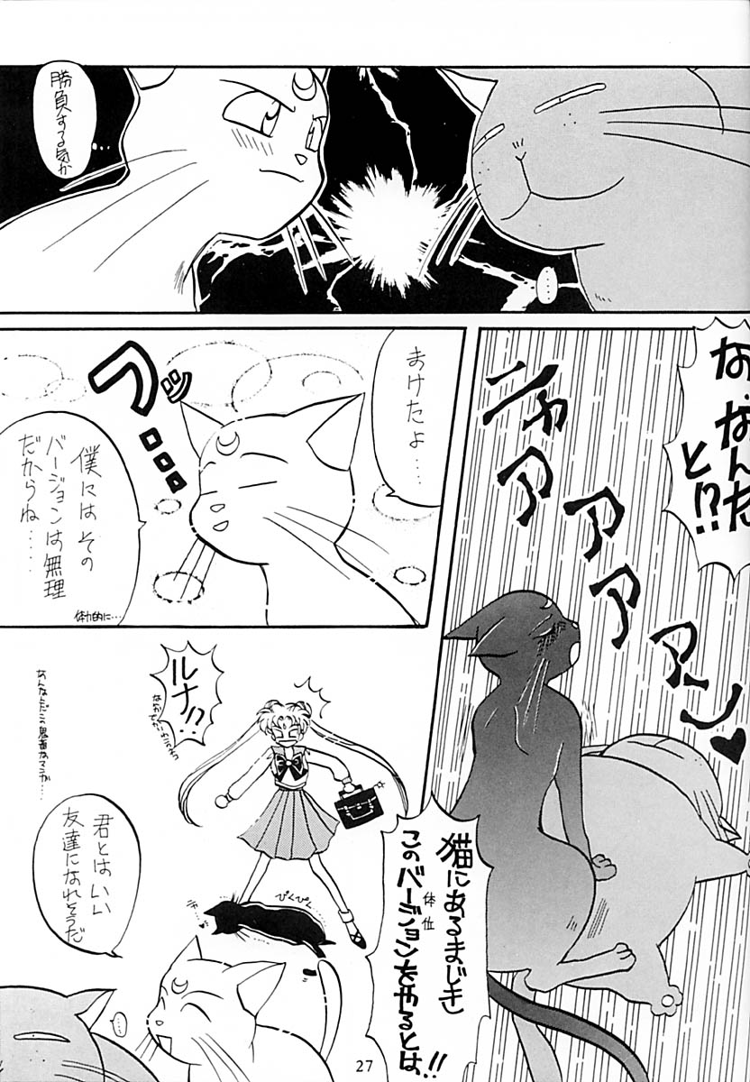 (C43) [LIVELY BOYS (various)] Princess Moon (Bishoujo Senshi Sailor Moon) page 28 full