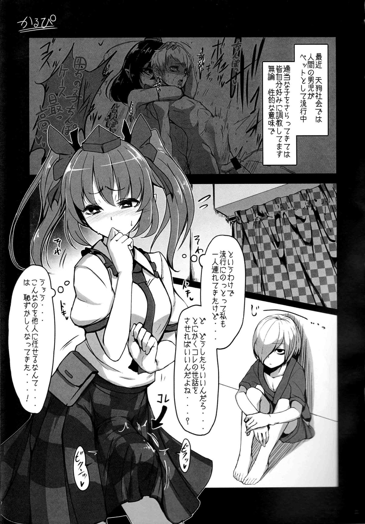 (C87) [Kalbi Santarou (Calpish, Kantarou)] Tengu Kaeriuchi (Touhou Project) page 2 full