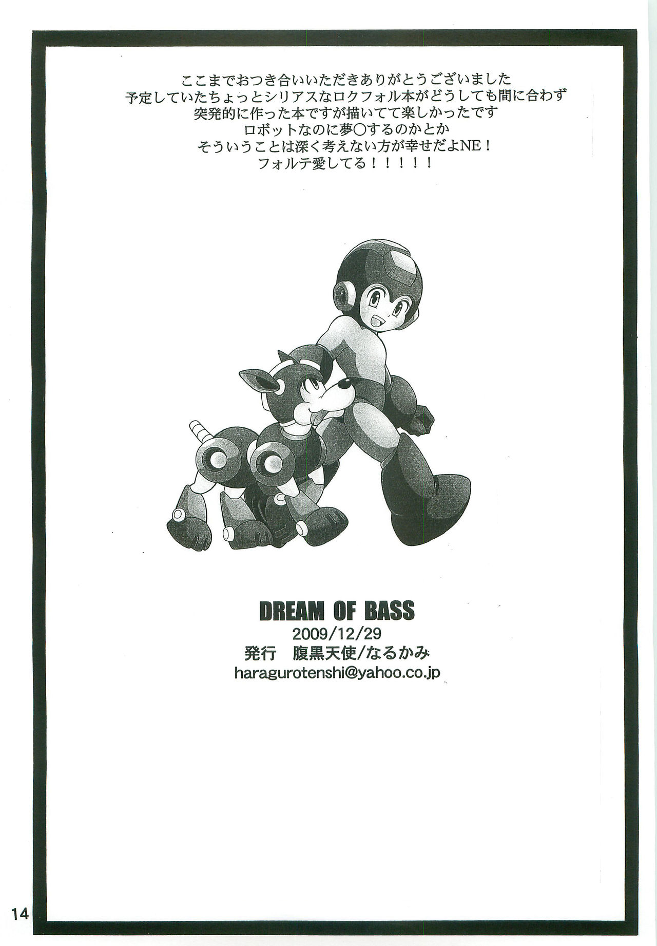 (C77) [Haraguro Tenshi (Narukami)] DREAM OF BASS (Rockman) page 13 full