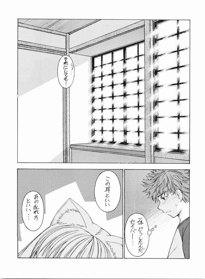 (C67) [Sanazura Doujinshi Hakkoujo (Sanazura Hiroyuki)] Nekomimi Fate (Fate/stay night) page 22 full