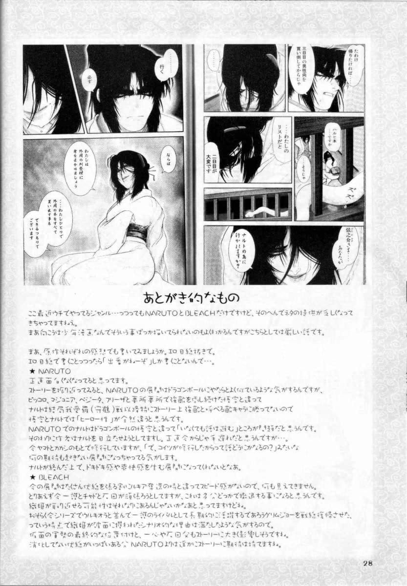 (SC33) [HIGHWAY-SENMU (Maban, Saikoubi)] H-Sen vol. 13 (BLEACH, NARUTO) page 27 full