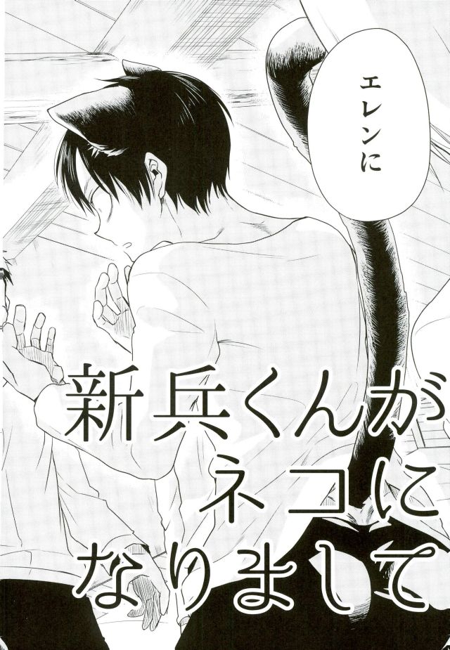 (C91) [Sonic (PANA)] Shinpei-kun ga Neko ni Narimashite (Shingeki no Kyojin) page 3 full