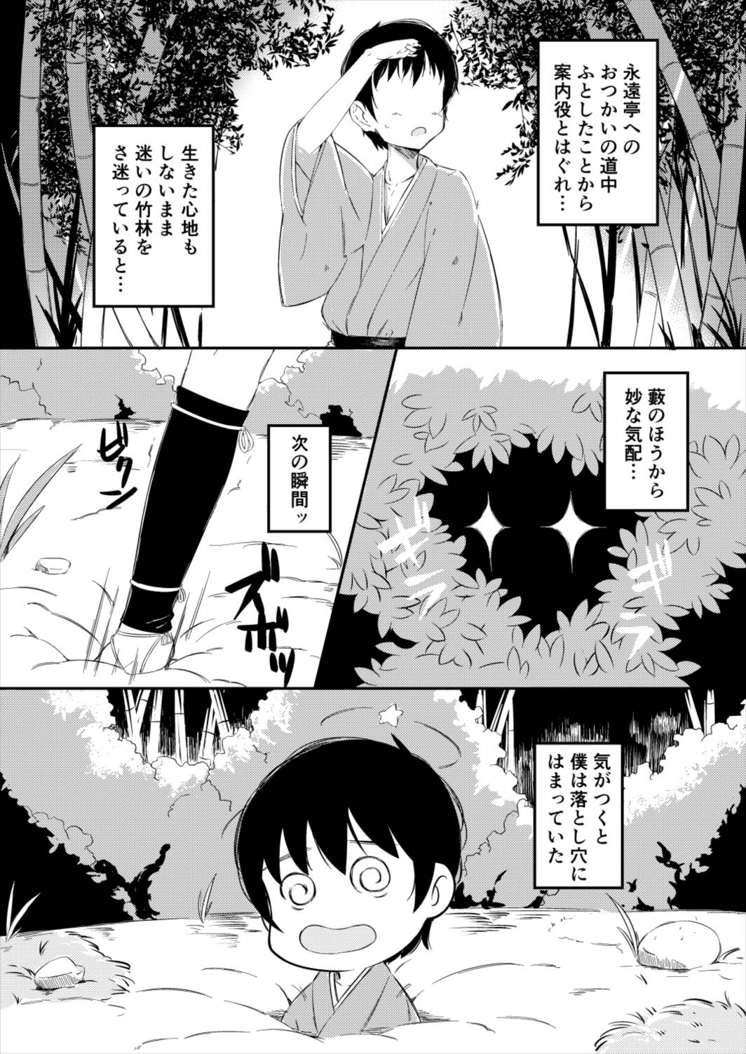 [Lolita Crusaders (Kohoshi Moe)] Mayoi no Chikurin de Samayou Boku to Inbi na Usagi-tachi (Touhou Project) [Digital] page 2 full