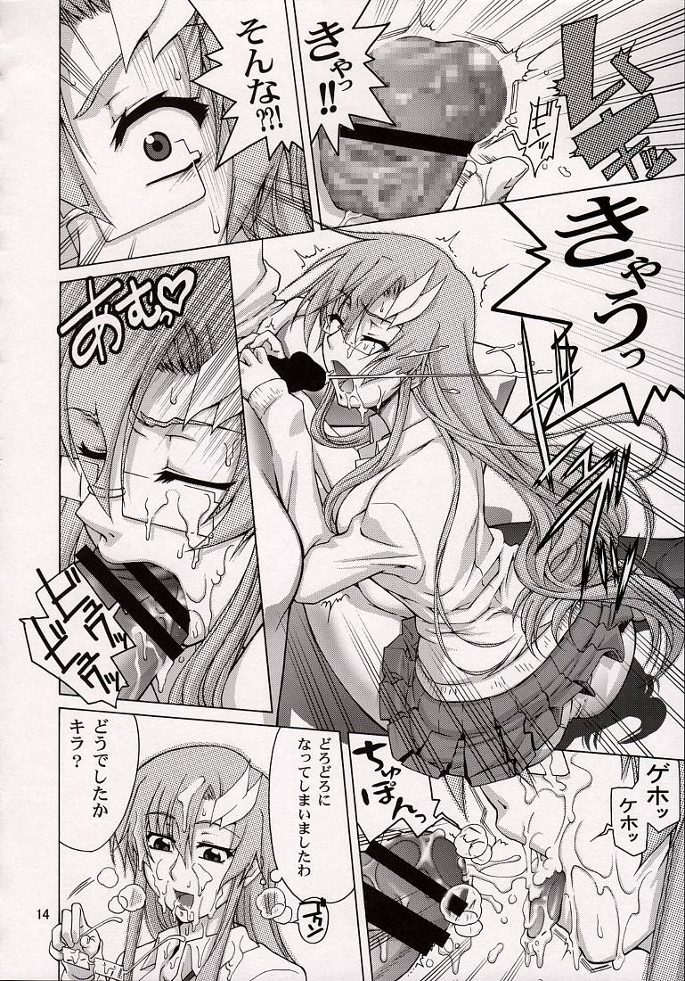 (C74) [GOLD RUSH (Suzuki Address)] A Diva of Healing V (Gundam SEED Destiny) page 14 full