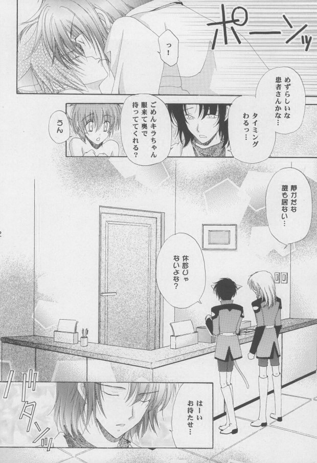 (C68) [Mutsuharu (Kagami Haruki)] Nekomimi Zouryouchuu (Gundam SEED DESTINY) [Incomplete] page 19 full