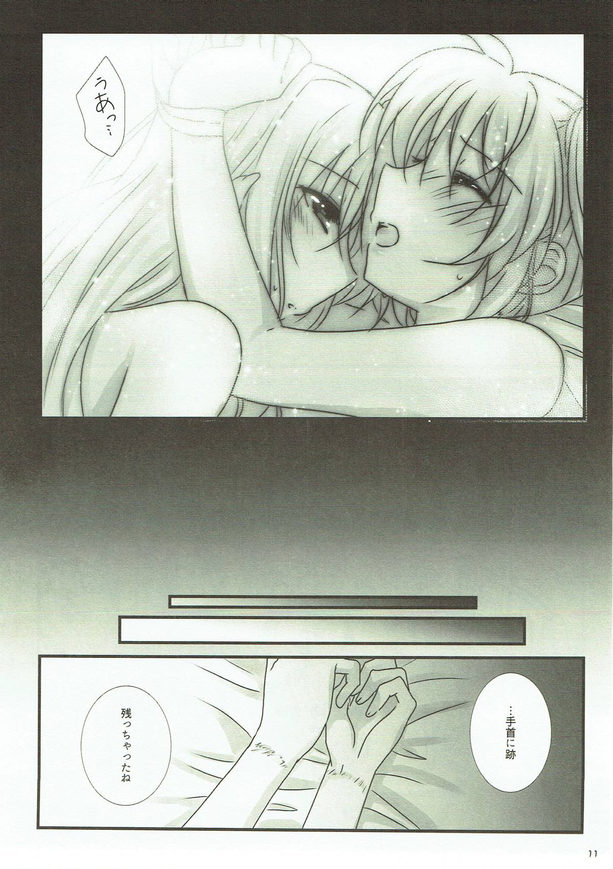 (C93) [Ameiro (Nanashiki)] Junketsu Dressage (Mahou Shoujo Lyrical Nanoha) page 9 full