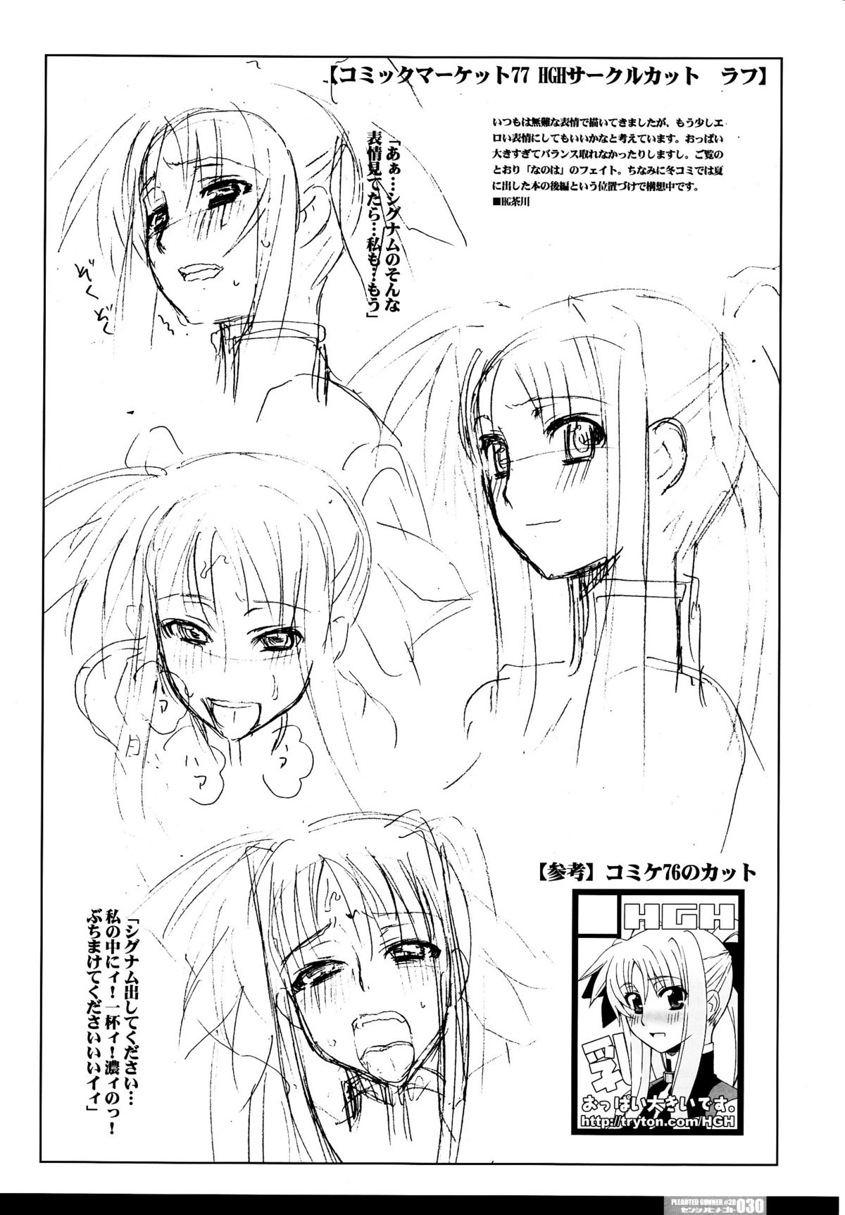 (C77) [HGH (HG Chagawa)] Pleated Gunner #20 Senshi no Himegoto (Mahou Shoujo Lyrical Nanoha) page 29 full