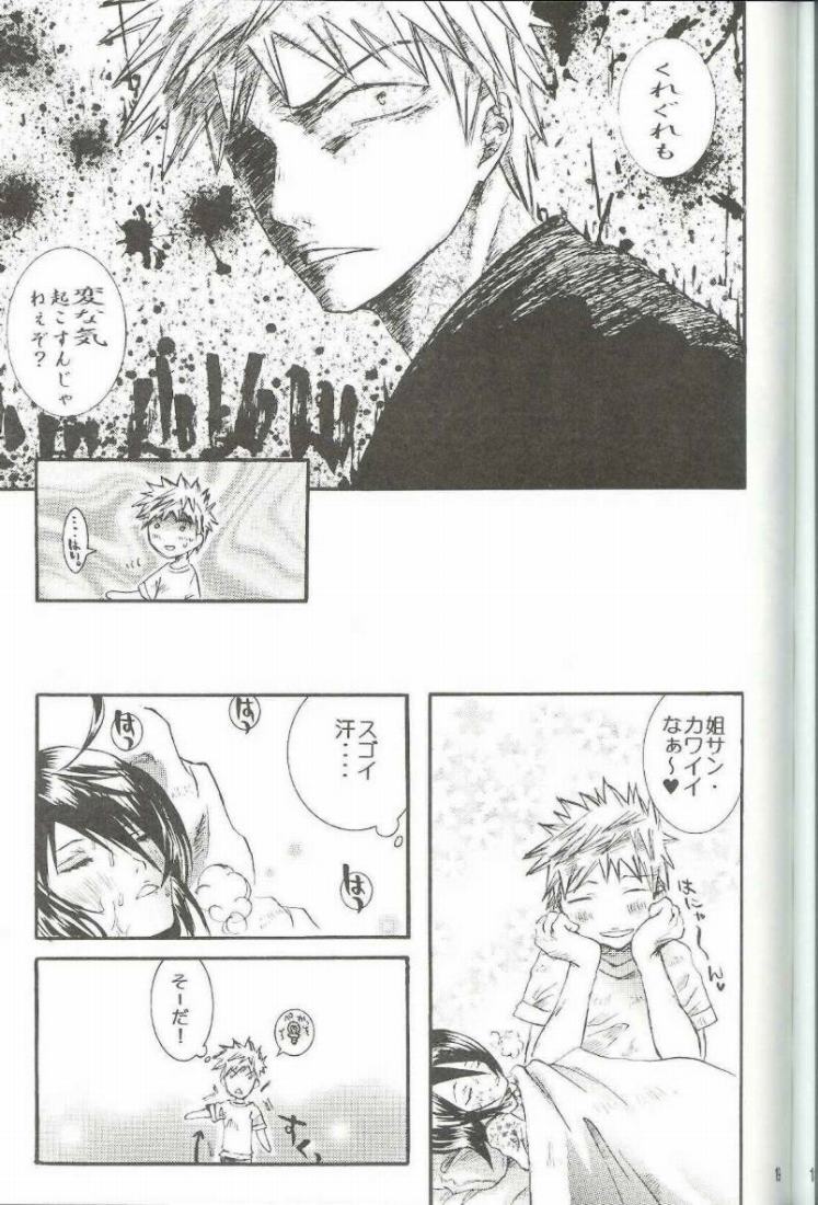 (C66) [PONCHEES (Kari) (Irohane Sui)] PIKA☆☆NCHI (Bleach) page 18 full