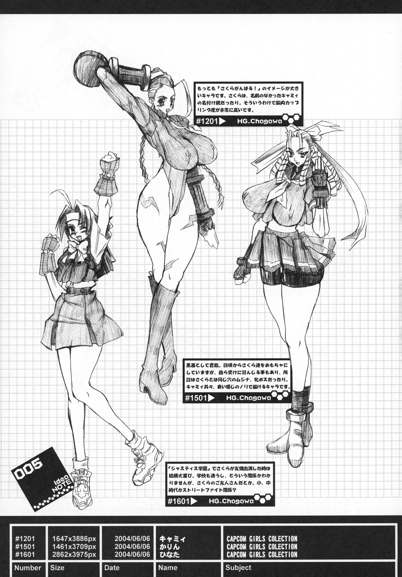 (SC24) [HGH (HG Chagawa)] Idea NOTE #04 (Street Fighter) page 5 full