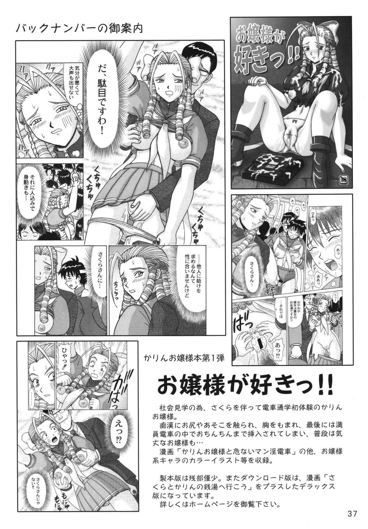(C70) [HEAVEN'S UNIT (Kouno Kei)] Ojou-sama ga Daisuki!! (Street Fighter) page 37 full