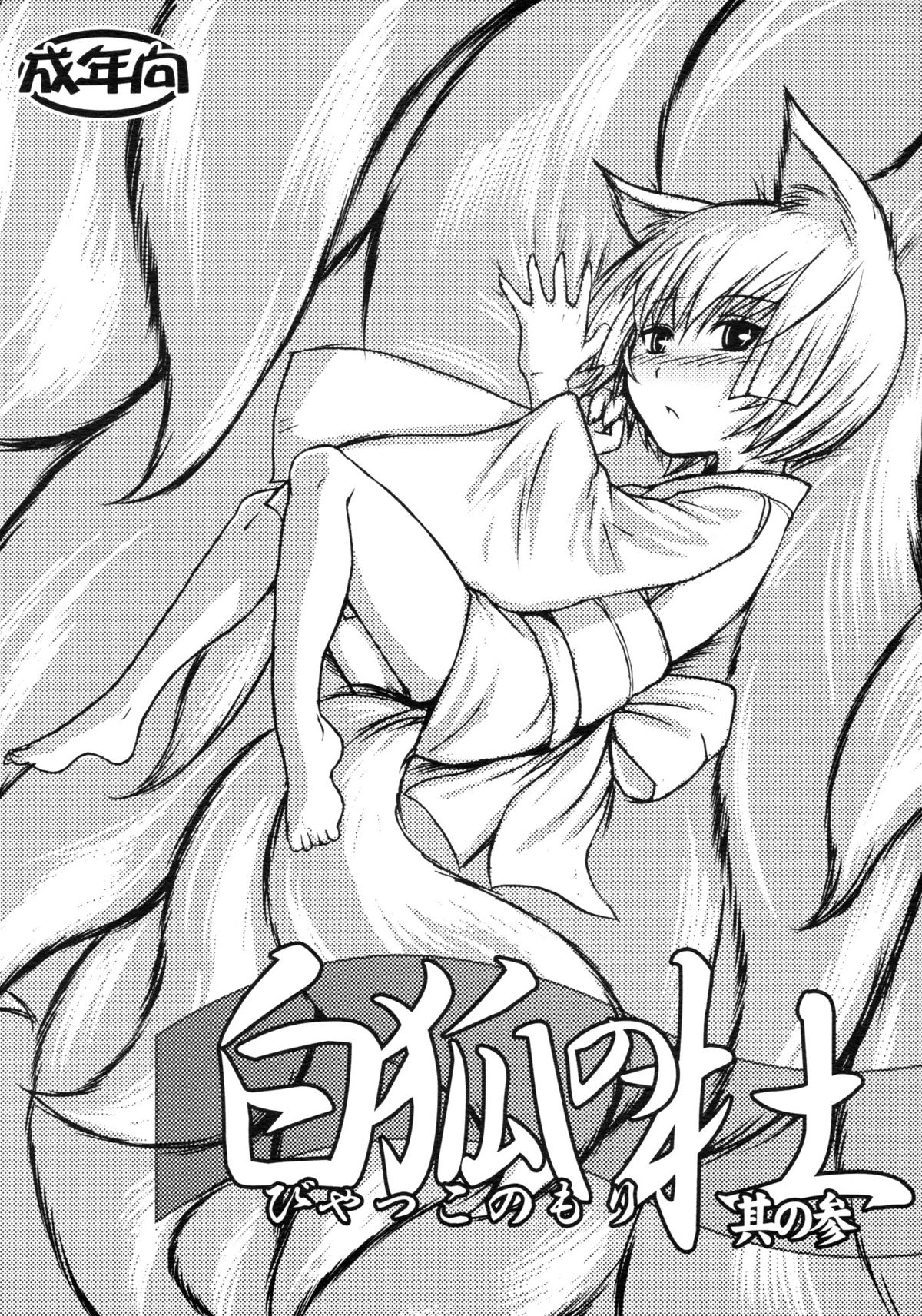 (SC41) [Tanmatsu Ijou (BadHanD)] Byakko no Mori Sono San page 1 full