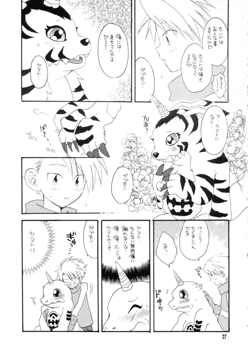 (CCTokyo96) [Haniwa Mania, Kuruguru DNA (Pon Takahanada, Hoshiai Hiro)] Bokura No Jogress World (Digimon Adventure 02) page 27 full