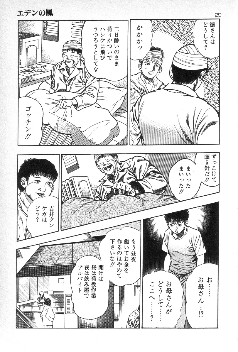 [Maeda Toshio] Eden no Kaze page 31 full