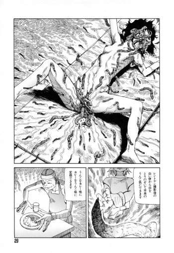 [Kago Shintarou] Tadashii Hentai Seiyoku - page 27