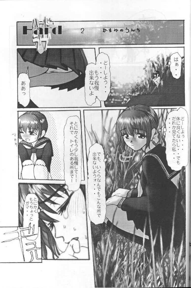 (C59) [RST Slave (Ebina Souichi)] Kasumi Hard Love (Dead or Alive) page 22 full