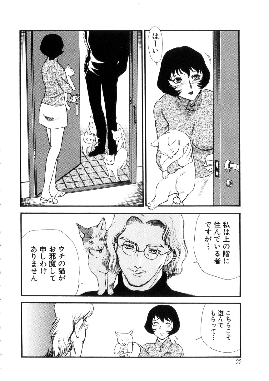 [Fujii Akiko, Akiyama Michio] Hitozuma Moyou 4 Yogarizuma page 23 full