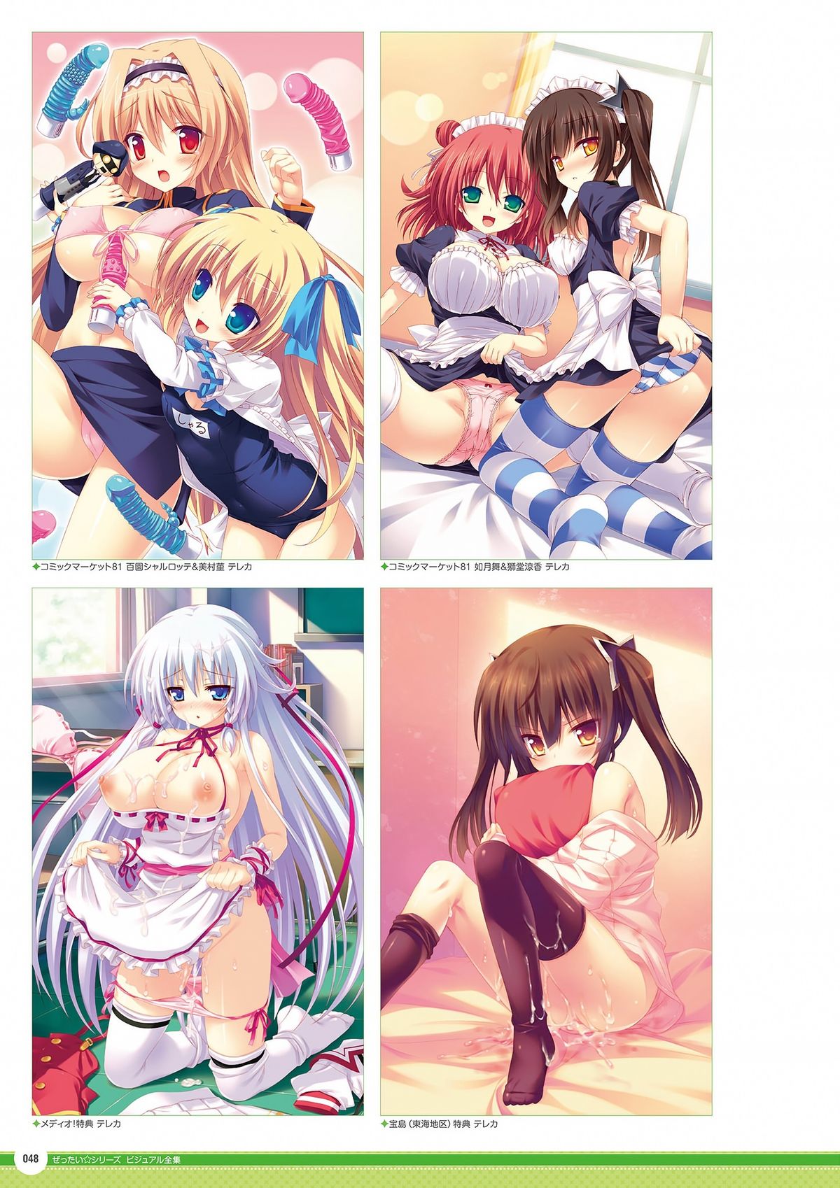 Zettai Series Visual Collection page 48 full