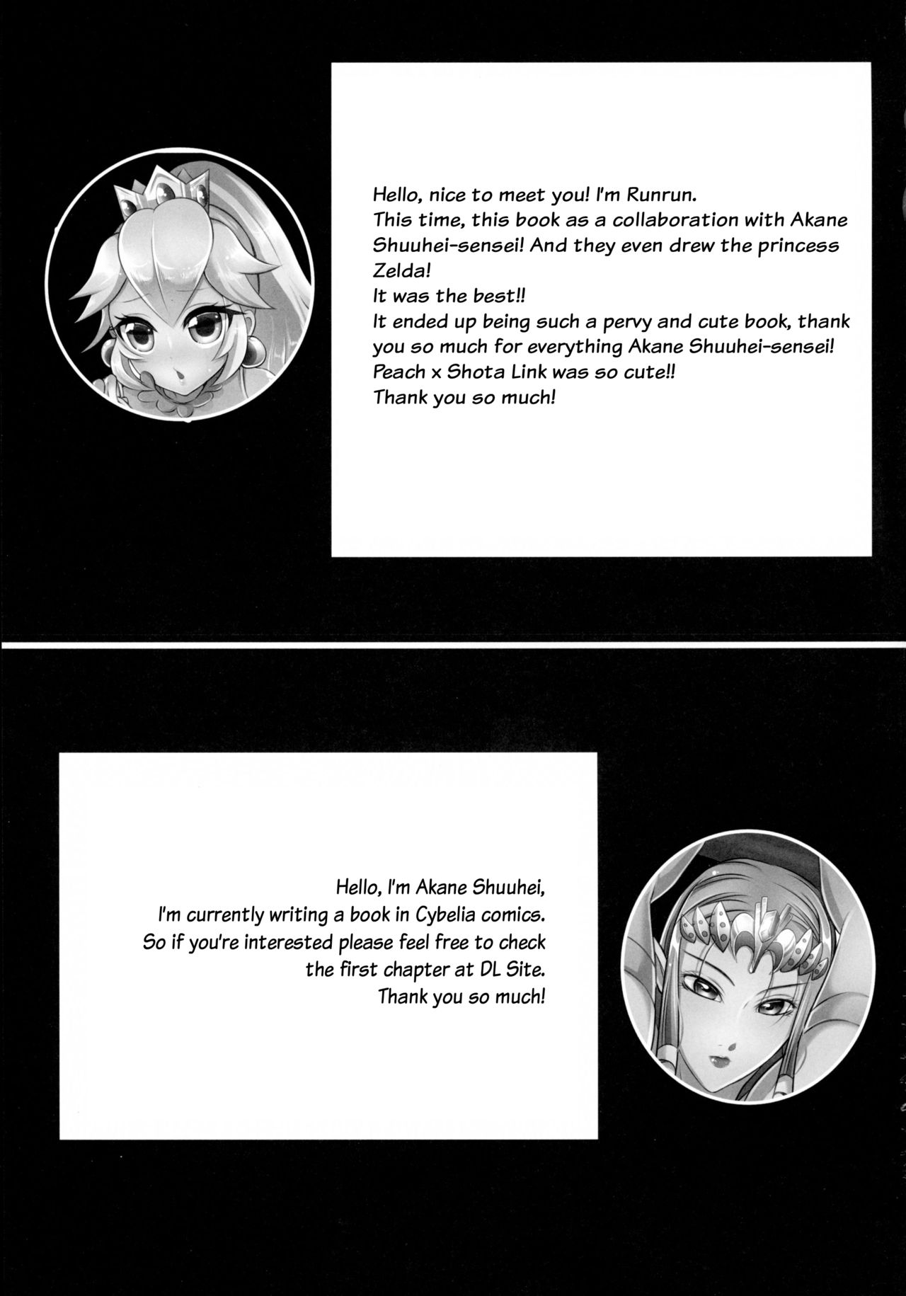 (C89) [Akane Shuuhei Dou, Maltese (Runrun, Akane Shuuhei)] Partner Trade (The Legend of Zelda, Super Mario Brothers) [English] [Otokonoko Scans] page 15 full