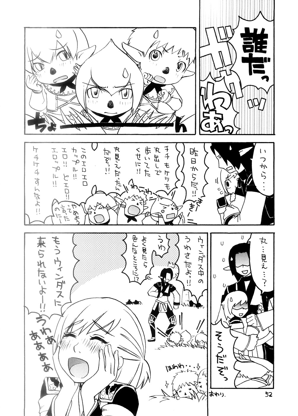 (C74) [Nichiyouban (Hoshina Shintarou)] Souvenir Jou (Final Fantasy XI) page 51 full