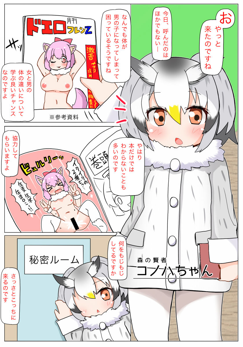 [Aki to Haru no Yume (Akinaro)] Aa Kashikokute Omata (Kemono Friends) page 4 full