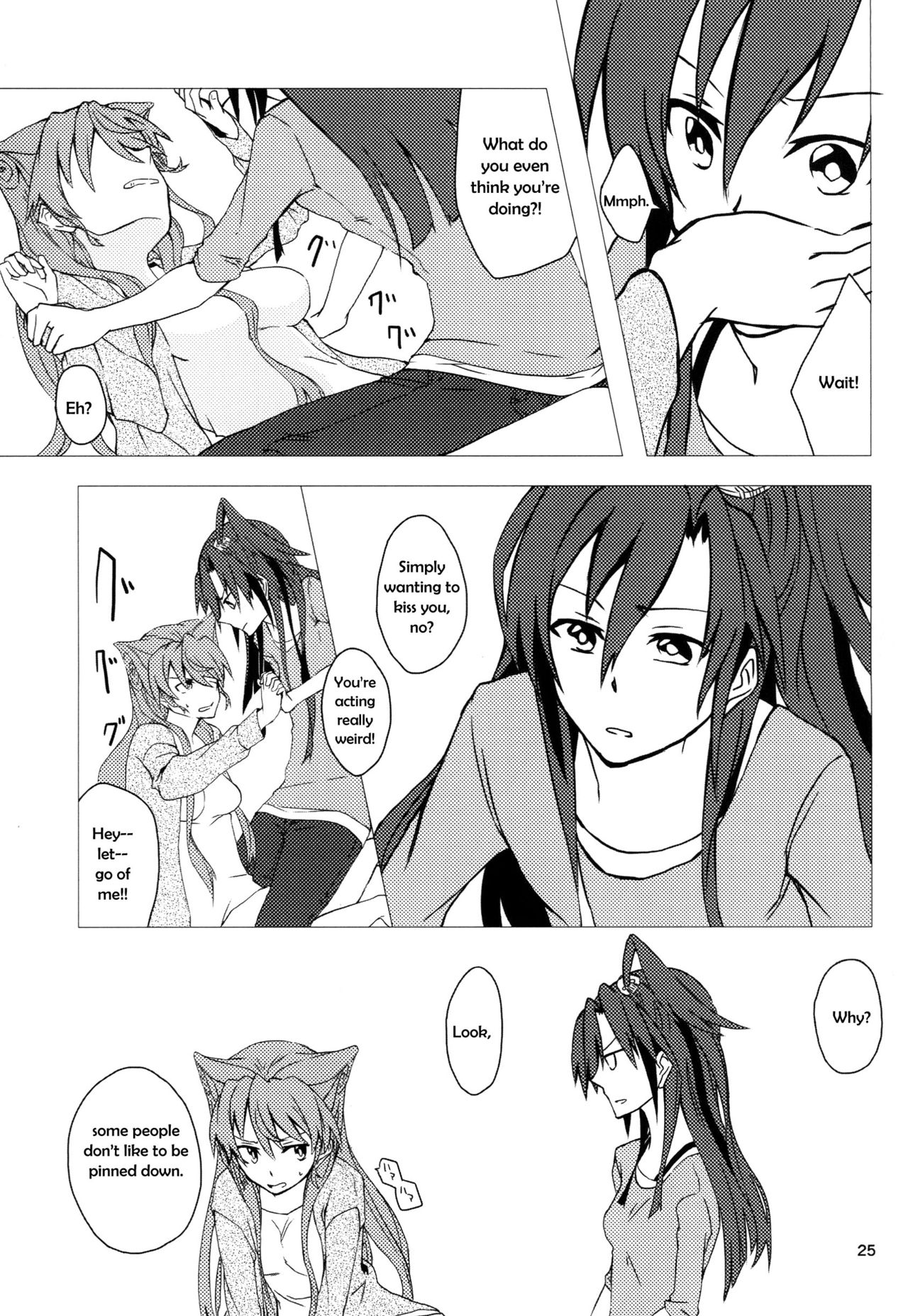 (C85) [HB (Futoo)] Wunsch (Senki Zesshou Symphogear) [English] {Halcyonvalor & Sexy Akiba Detectives} page 25 full