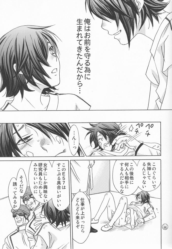 [Cappadocia (CJ Michalski, Usami Mio)] Kami-sama Nanka Inai (Kidou Senshi Gundam 00) page 12 full