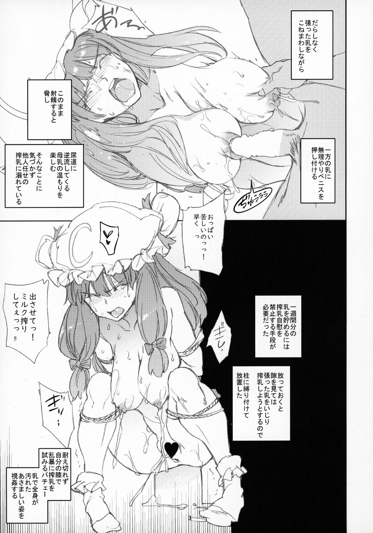 (Reitaisai 15) [Egao de Bouryoku (mogg)] PSR (Touhou Project) page 4 full