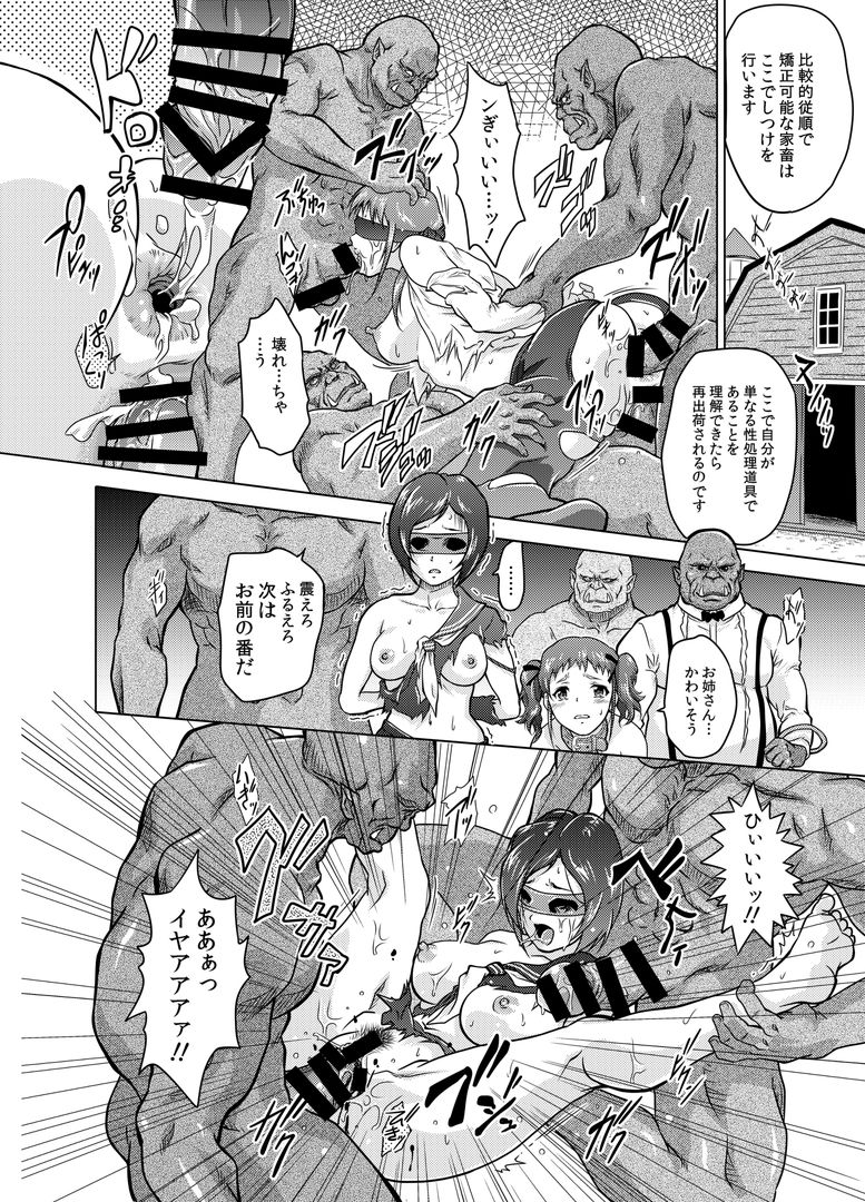 [Orc Chou (NOLIA)] Dominate Orc ~Kachiku Ika to Sareta Mijime na Ningenzoku~ page 44 full