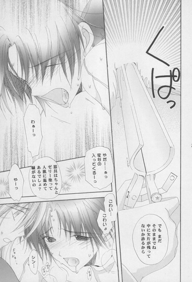 (C68) [Mutsuharu (Kagami Haruki)] Nekomimi Zouryouchuu (Gundam SEED DESTINY) [Incomplete] page 26 full