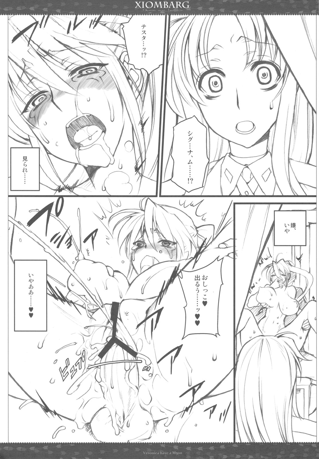 (C79) [VM500 (Kome)] XIOMBARG Preview ver (Mahou Shoujo Lyrical Nanoha) page 23 full