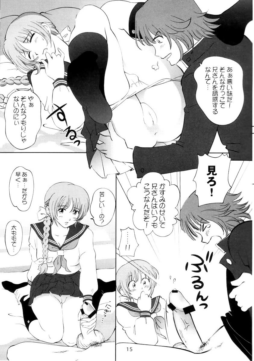 (C62) [OtakuLife JAPAN (Senke Kagero)] Sugoiyo!! Kasumi-chan 3 ~Double Complex~ (Dead or Alive) page 14 full