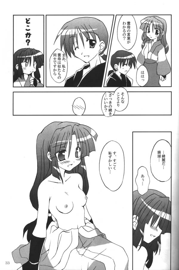 (C65) [Sumitan (Satou Kibi)] Sango-chan no Hon - Dai-san Maku (Inuyasha) page 31 full