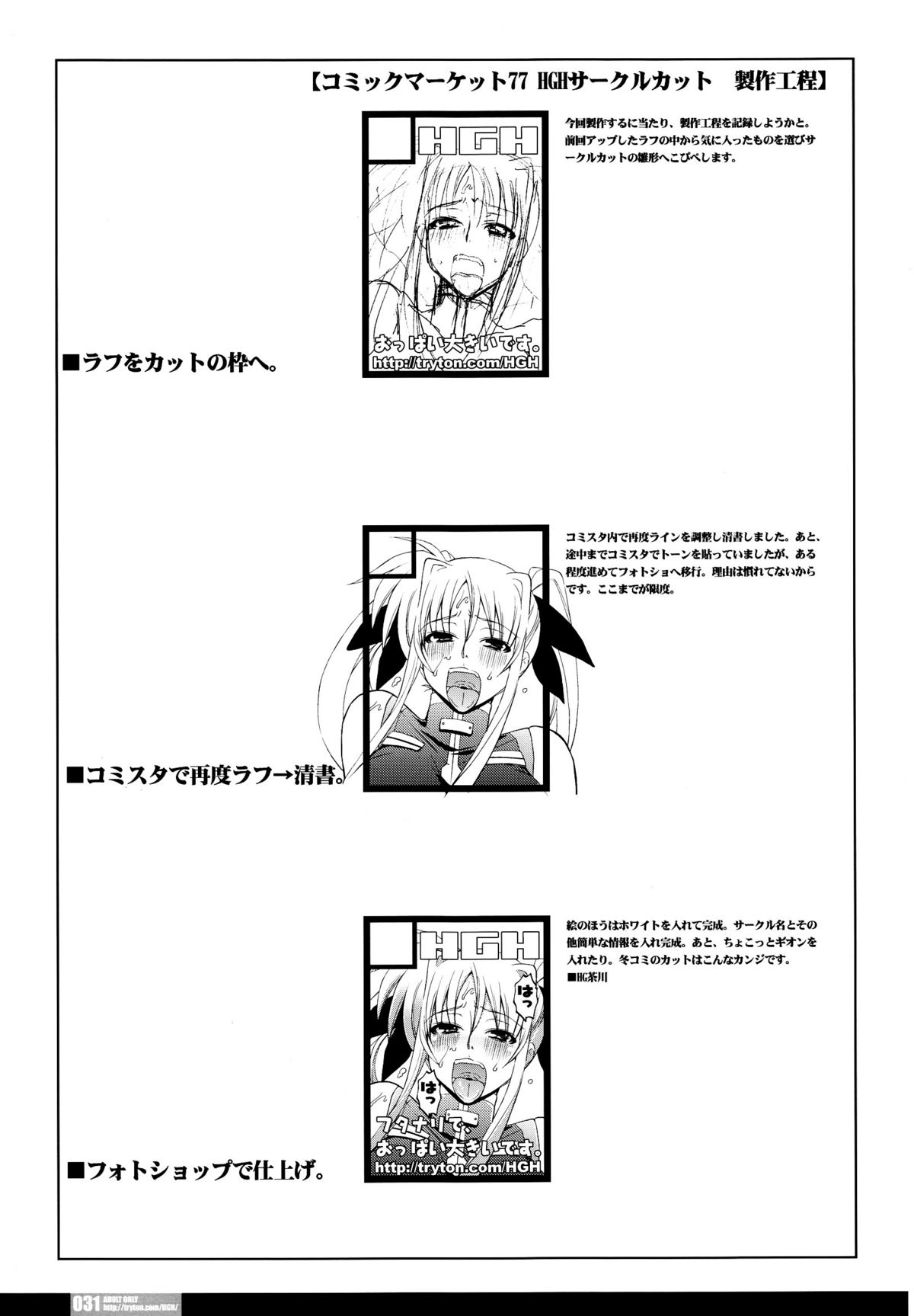 (C77) [HGH (HG Chagawa)] Pleated Gunner #20 Senshi no Himegoto (Mahou Shoujo Lyrical Nanoha) page 30 full